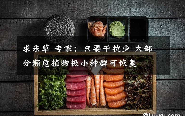 求米草 专家：只要干扰少 大部分濒危植物极小种群可恢复