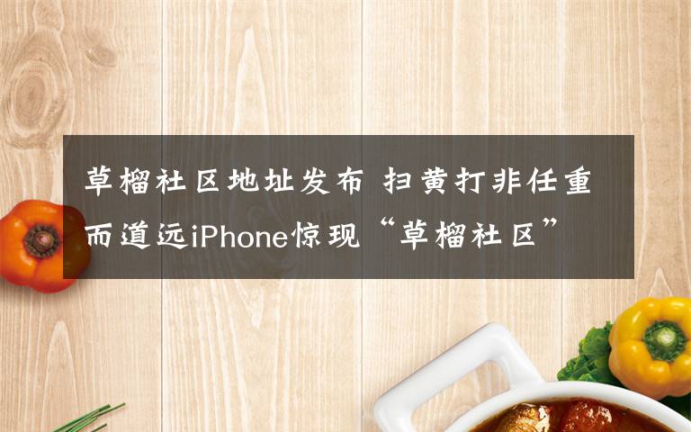 草榴社区地址发布 扫黄打非任重而道远iPhone惊现“草榴社区”APP版