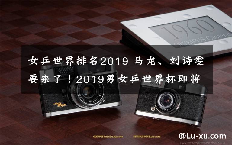 女乒世界排名2019 马龙、刘诗雯要来了！2019男女乒世界杯即将在成都开赛