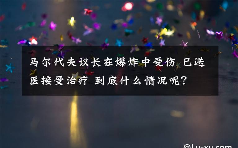 马尔代夫议长在爆炸中受伤 已送医接受治疗 到底什么情况呢？