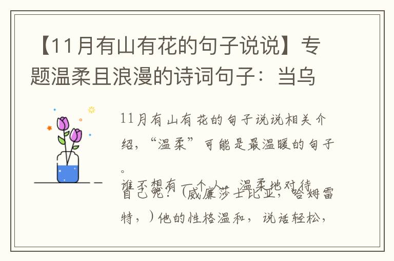 【11月有山有花的句子说说】专题温柔且浪漫的诗词句子：当乌云散去，自有漫天繁星