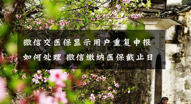 微信交医保显示用户重复申报如何处理 微信缴纳医保截止日