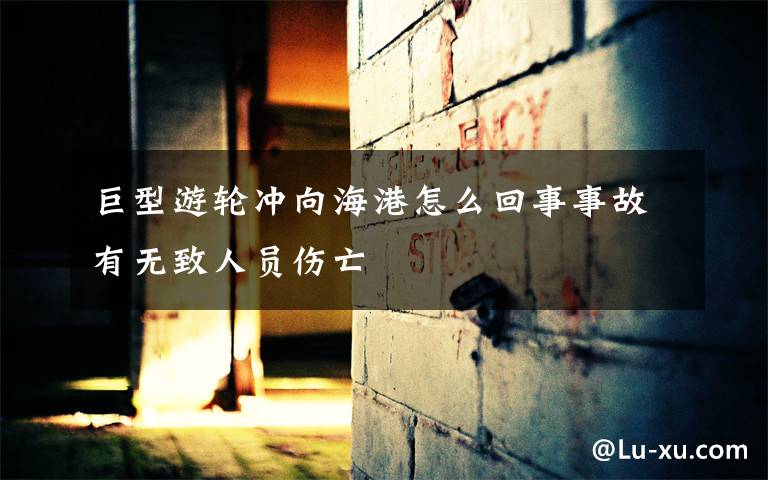 巨型游轮冲向海港怎么回事事故有无致人员伤亡