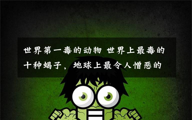 世界第一毒的动物 世界上最毒的十种蝎子，地球上最令人憎恶的动物？