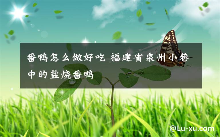 番鸭怎么做好吃 福建省泉州小巷中的盐烧番鸭