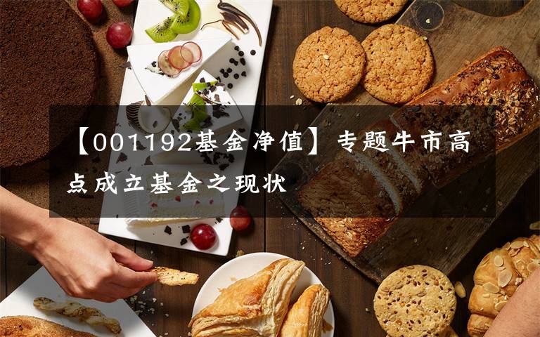 【001192基金净值】专题牛市高点成立基金之现状