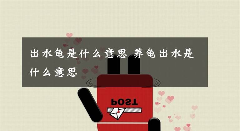出水龟是什么意思 养龟出水是什么意思