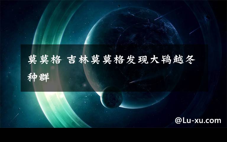 莫莫格 吉林莫莫格发现大鸨越冬种群