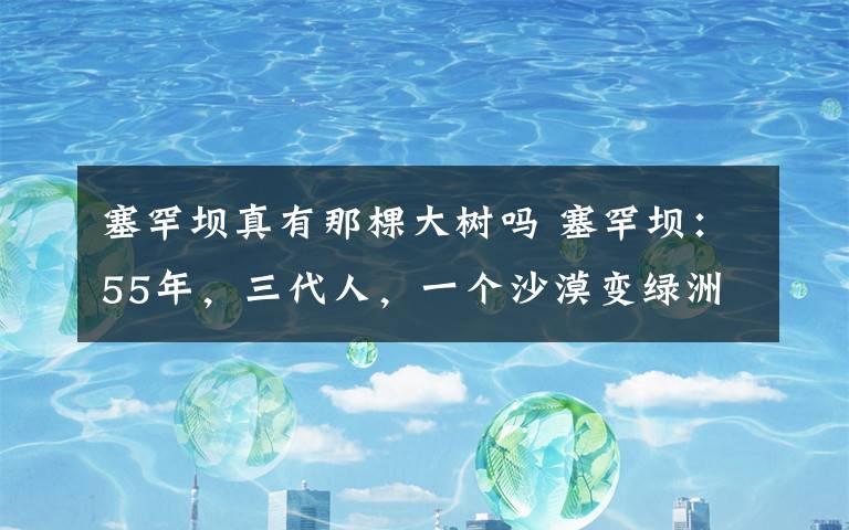 塞罕坝真有那棵大树吗 塞罕坝：55年，三代人，一个沙漠变绿洲的奇迹