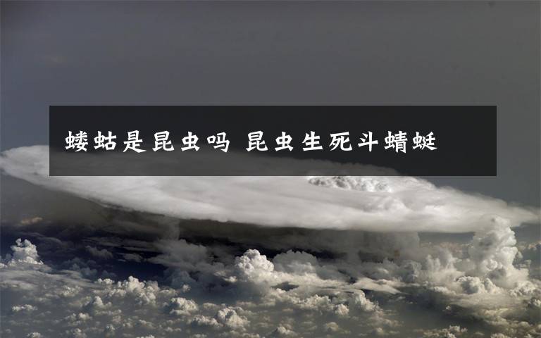 蝼蛄是昆虫吗 昆虫生死斗蜻蜓