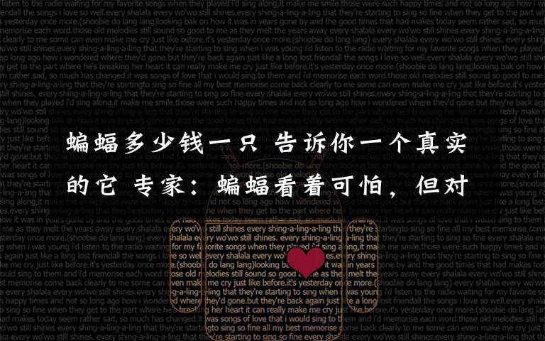蝙蝠多少钱一只 告诉你一个真实的它 专家：蝙蝠看着可怕，但对维护生态平衡功不可没