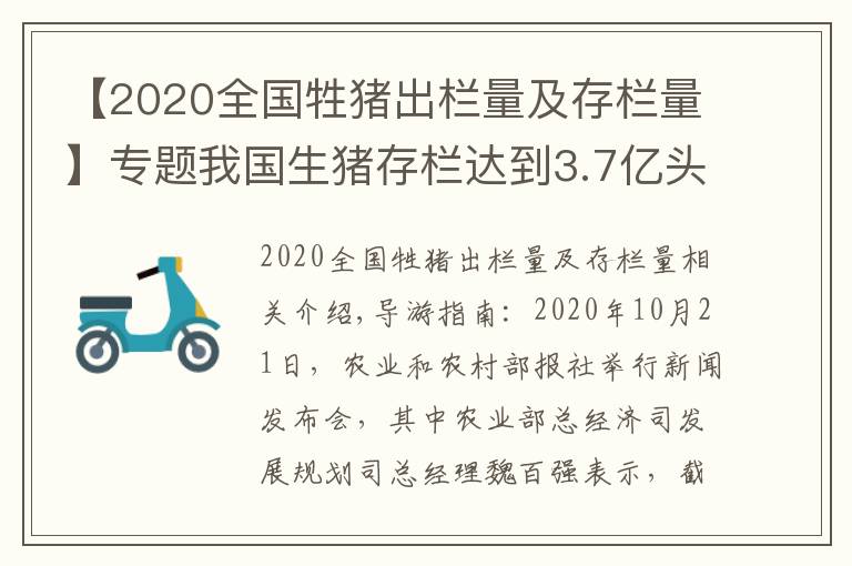 【2020全国牲猪出栏量及存栏量】专题我国生猪存栏达到3.7亿头，猪价全线跌破15元，养猪户要慌了