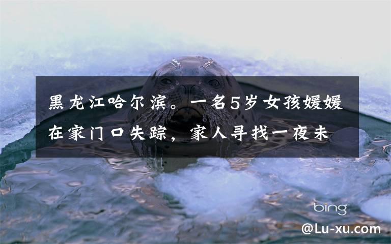 黑龙江哈尔滨。一名5岁女孩媛媛在家门口失踪，家人寻找一夜未果报警求助。次日，媛媛回到家时她