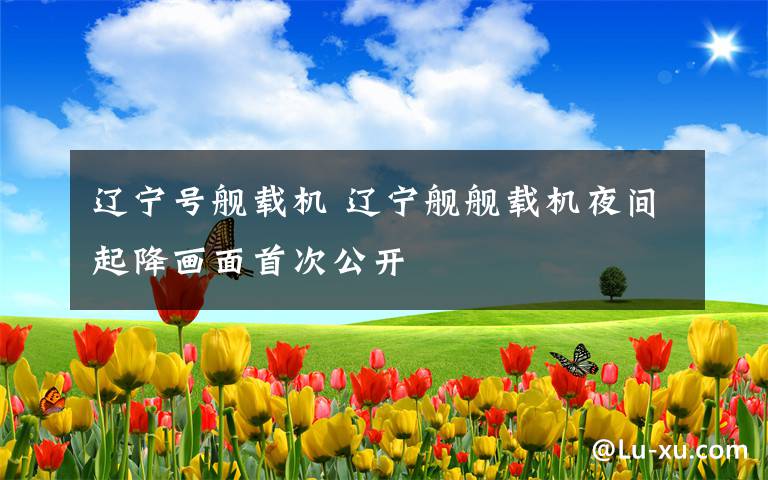辽宁号舰载机 辽宁舰舰载机夜间起降画面首次公开