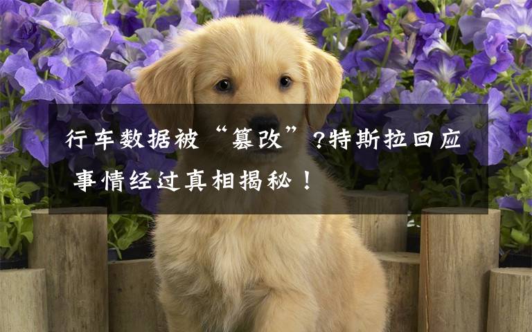 行车数据被“篡改”?特斯拉回应 事情经过真相揭秘！