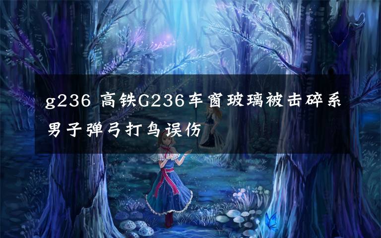 g236 高铁G236车窗玻璃被击碎系男子弹弓打鸟误伤