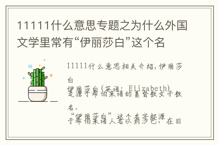 11111什么意思专题之为什么外国文学里常有“伊丽莎白”这个名字？伊丽莎白含义是什么