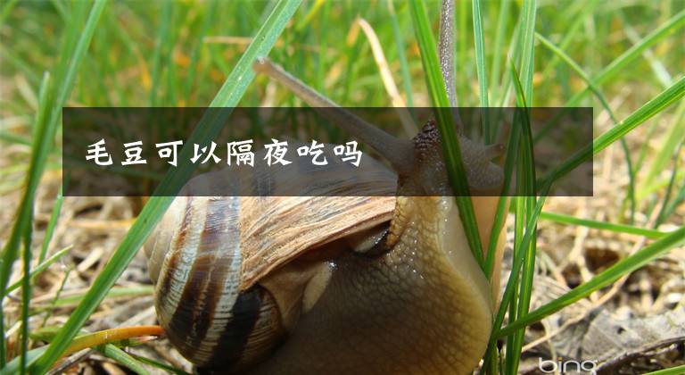 毛豆可以隔夜吃吗