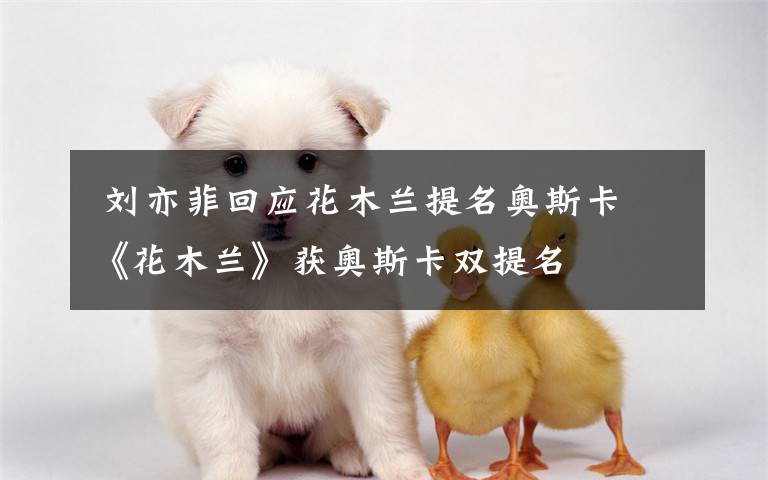  刘亦菲回应花木兰提名奥斯卡 《花木兰》获奥斯卡双提名