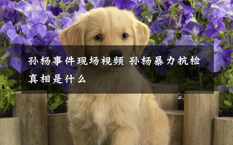 孙杨事件现场视频 孙杨暴力抗检真相是什么
