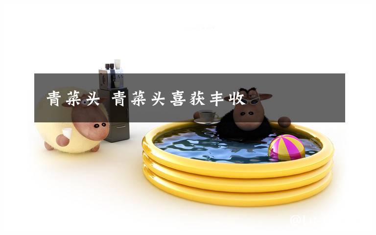 青菜头 青菜头喜获丰收