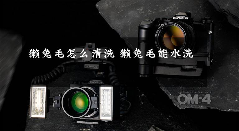 獭兔毛怎么清洗 獭兔毛能水洗