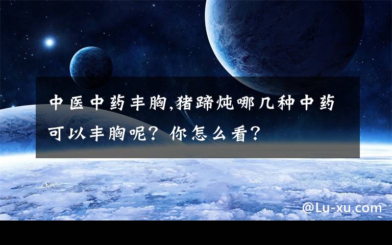 中医中药丰胸,猪蹄炖哪几种中药可以丰胸呢？你怎么看？