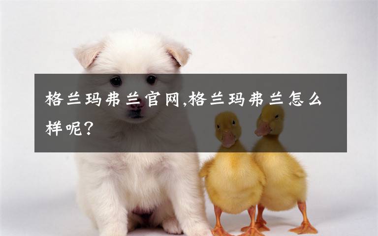格兰玛弗兰官网,格兰玛弗兰怎么样呢？