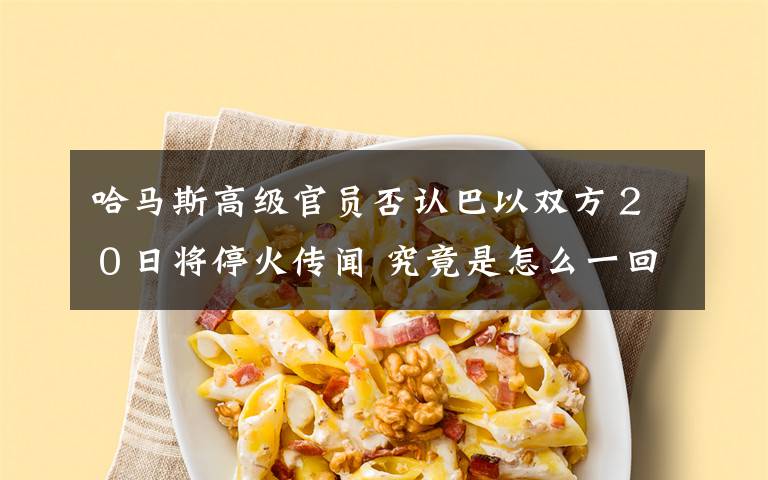 哈马斯高级官员否认巴以双方２０日将停火传闻 究竟是怎么一回事?