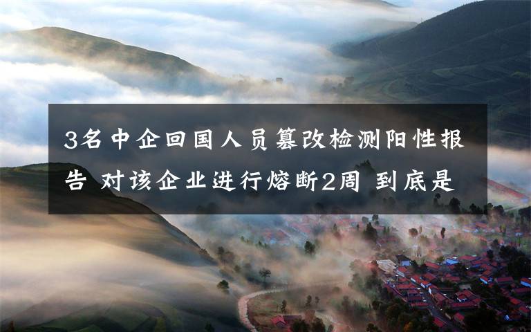 3名中企回国人员篡改检测阳性报告 对该企业进行熔断2周 到底是什么状况？
