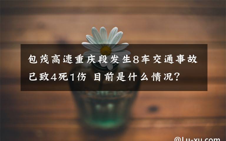 包茂高速重庆段发生8车交通事故已致4死1伤 目前是什么情况？