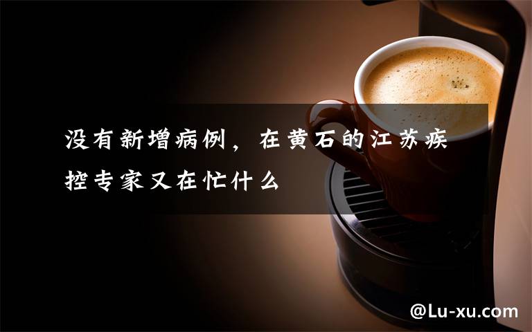 没有新增病例，在黄石的江苏疾控专家又在忙什么