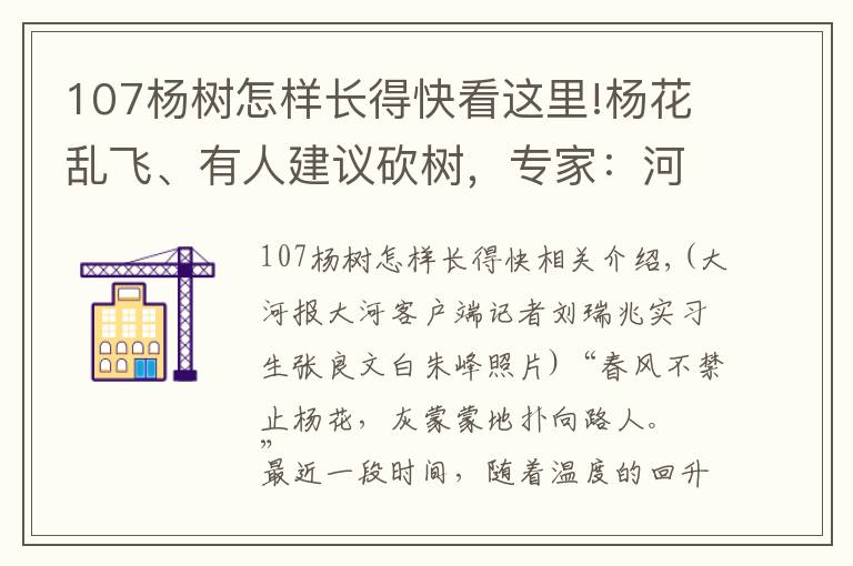 107杨树怎样长得快看这里!杨花乱飞、有人建议砍树，专家：河南树木八成是杨树、不能贸然砍