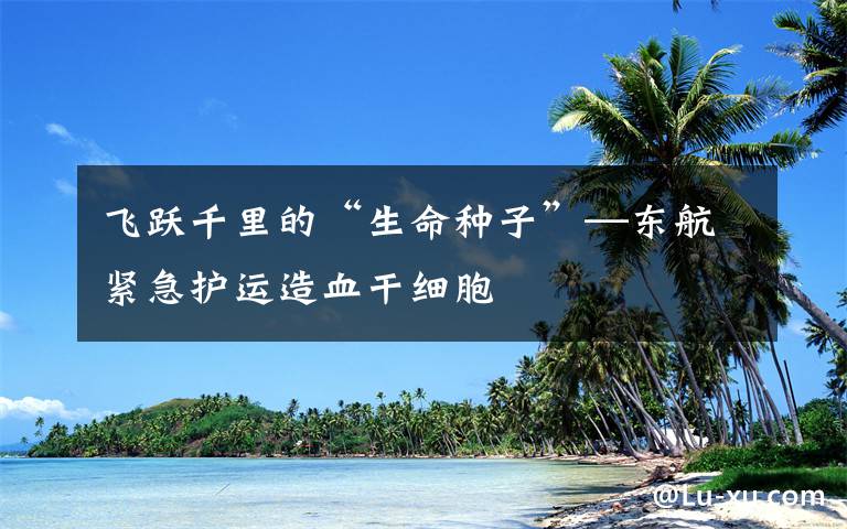飞跃千里的“生命种子”—东航紧急护运造血干细胞