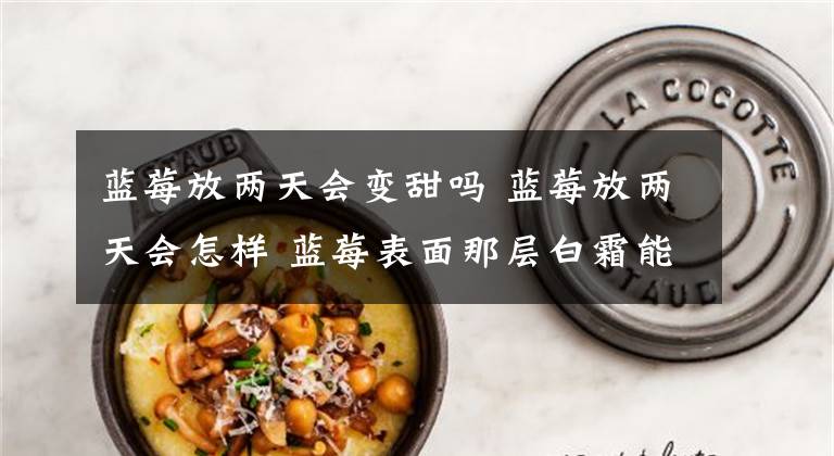 蓝莓放两天会变甜吗 蓝莓放两天会怎样 蓝莓表面那层白霜能吃吗