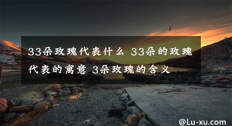 33朵玫瑰代表什么 33朵的玫瑰代表的寓意 3朵玫瑰的含义