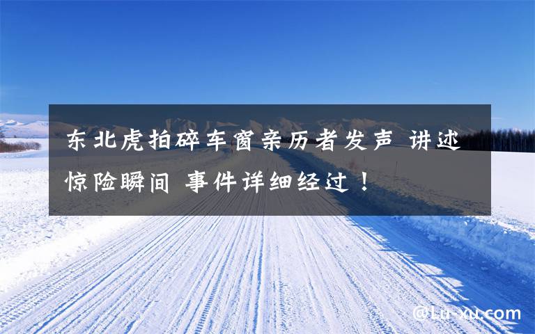 东北虎拍碎车窗亲历者发声 讲述惊险瞬间 事件详细经过！