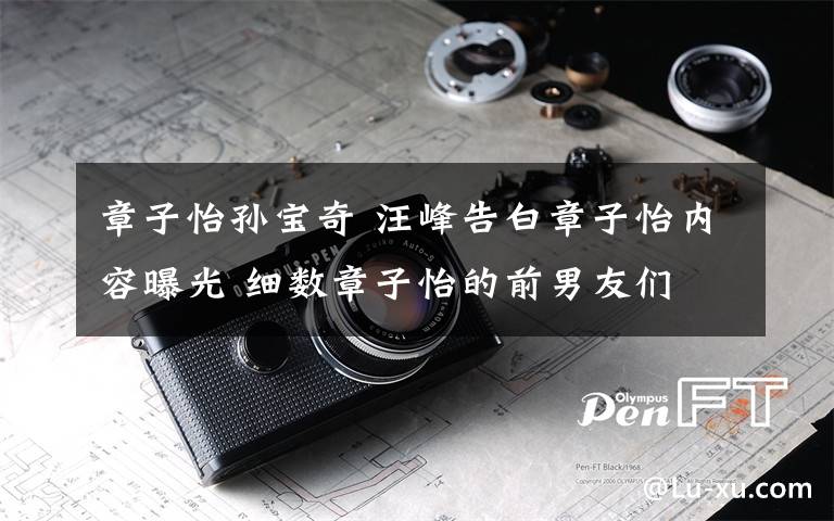 章子怡孙宝奇 汪峰告白章子怡内容曝光 细数章子怡的前男友们
