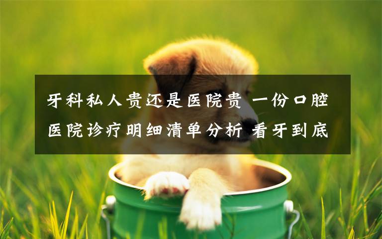 牙科私人贵还是医院贵 一份口腔医院诊疗明细清单分析 看牙到底贵在哪了