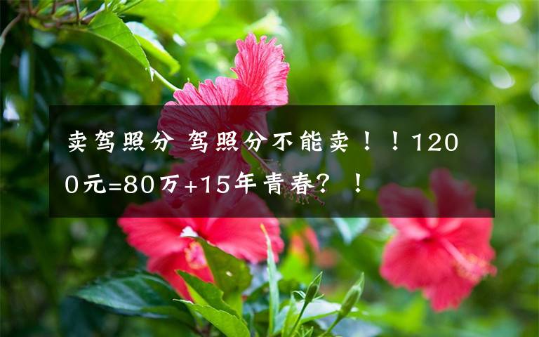 卖驾照分 驾照分不能卖！！1200元=80万+15年青春？！