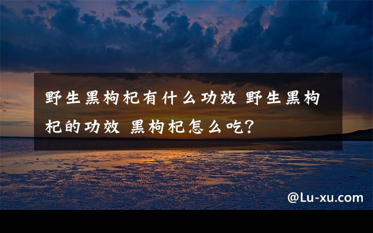 野生黑枸杞有什么功效 野生黑枸杞的功效 黑枸杞怎么吃？