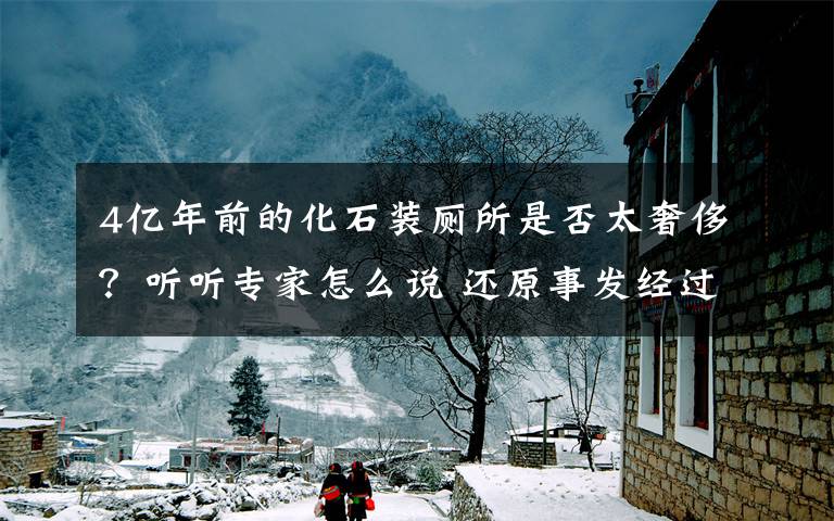 4亿年前的化石装厕所是否太奢侈？听听专家怎么说 还原事发经过及背后原因！