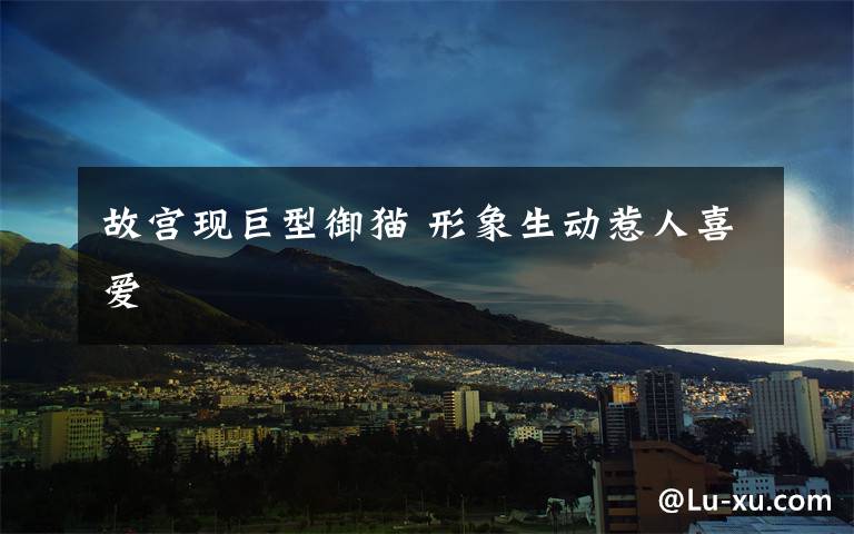 故宫现巨型御猫 形象生动惹人喜爱