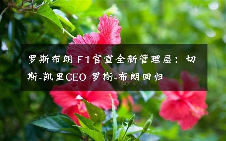 罗斯布朗 F1官宣全新管理层：切斯-凯里CEO 罗斯-布朗回归