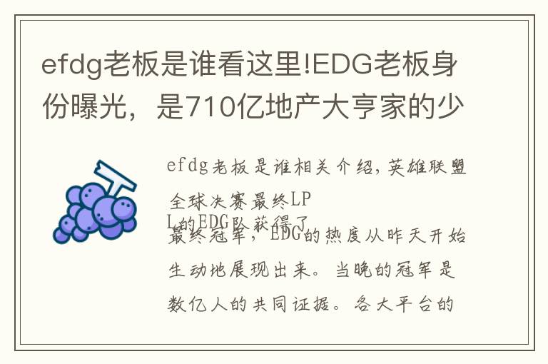efdg老板是谁看这里!EDG老板身份曝光，是710亿地产大亨家的少爷，赢了比赛直接送房子