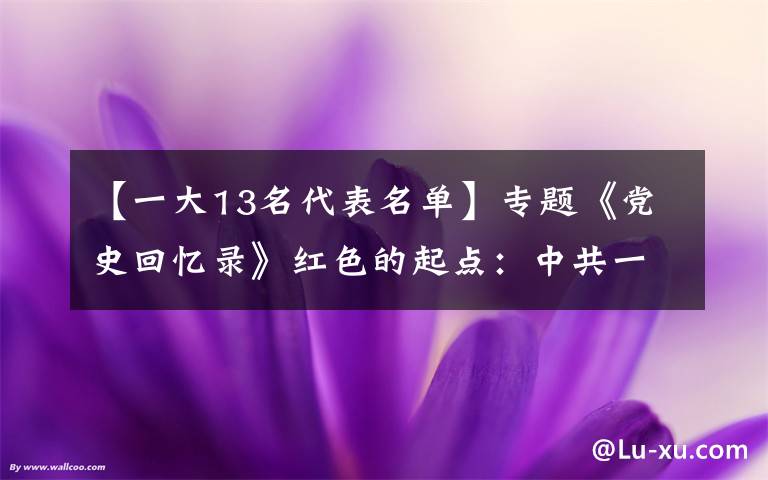 【一大13名代表名单】专题《党史回忆录》红色的起点：中共一大代表名单