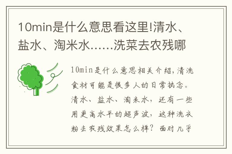 10min是什么意思看这里!清水、盐水、淘米水……洗菜去农残哪家强？