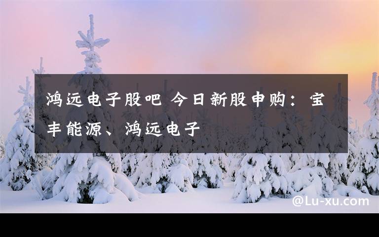 鸿远电子股吧 今日新股申购：宝丰能源、鸿远电子