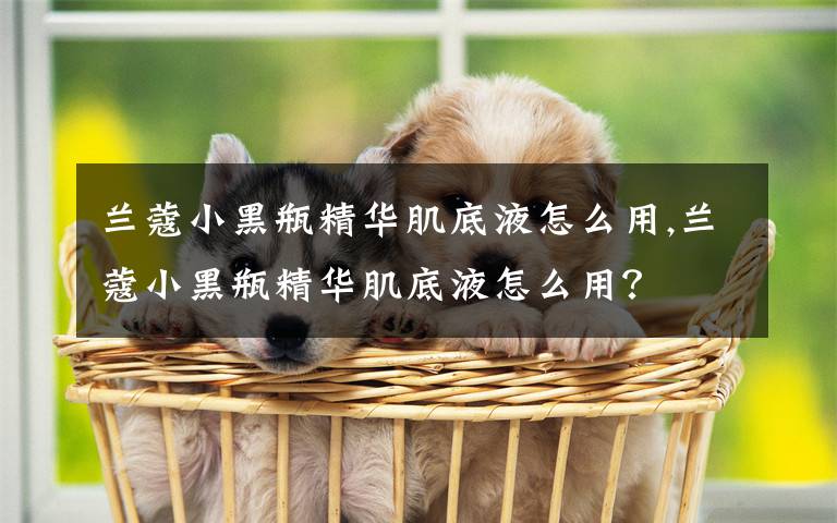 兰蔻小黑瓶精华肌底液怎么用,兰蔻小黑瓶精华肌底液怎么用？