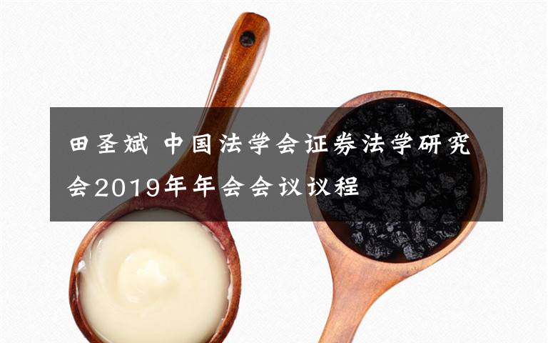 田圣斌 中国法学会证券法学研究会2019年年会会议议程